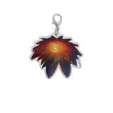 “REAL POP2” 꽃 랜덤 참